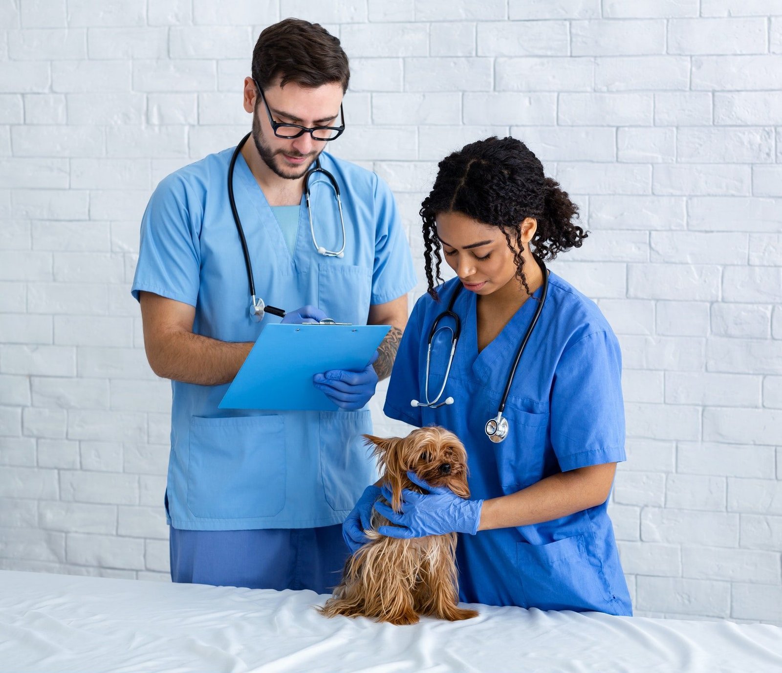 veterinario de confianza